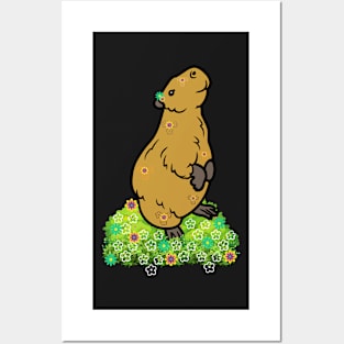 Cute Brown Kawaii Capybara on Back Legs Posters and Art